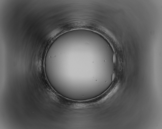 X0000086790777200705111814