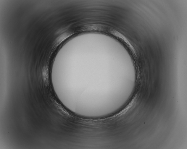 X0000086790778200705111814