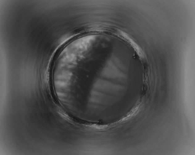 X0000086790779200705111814