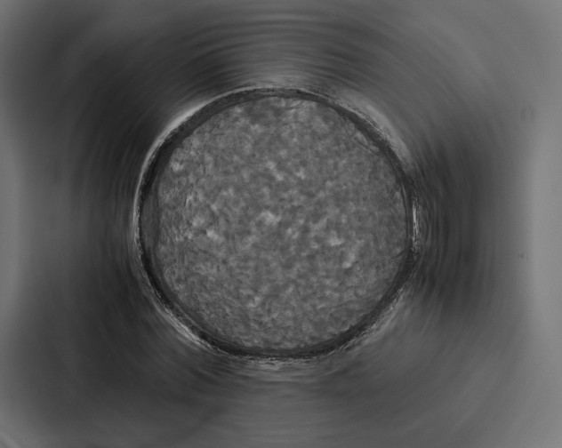 X0000086790780200705111814