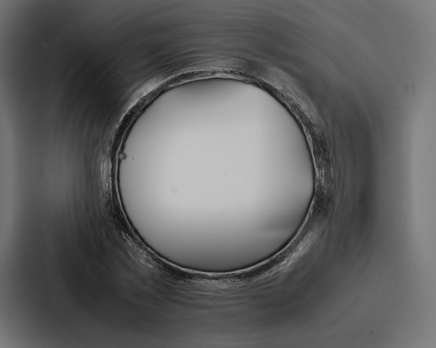 X0000086790781200705111814