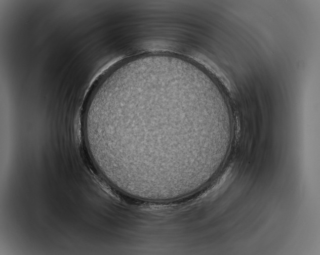 X0000086790782200705111814