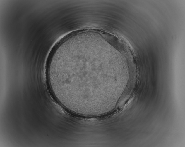 X0000086790784200705111814