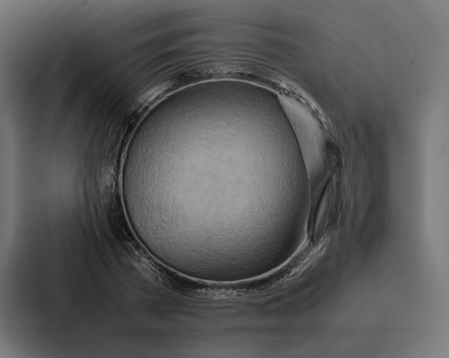 X0000086790785200705111814