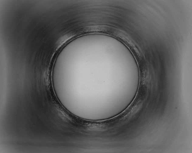 X0000086790786200705111814