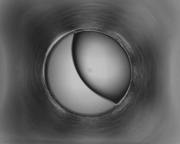 X0000086790788200705111814