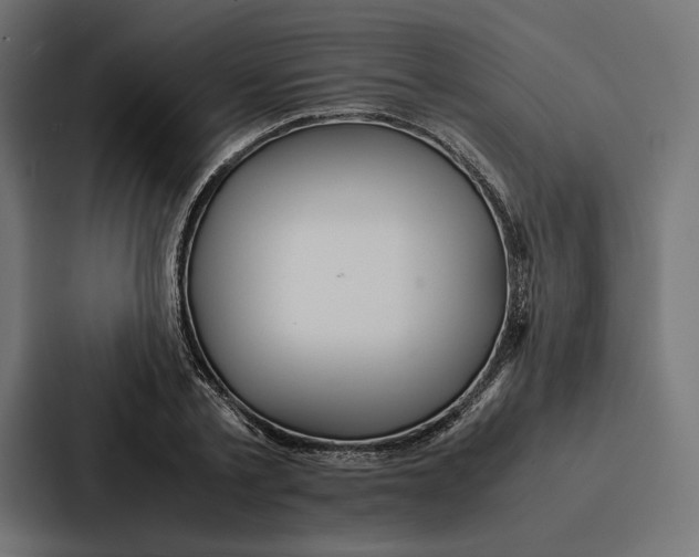 X0000086790789200705111814