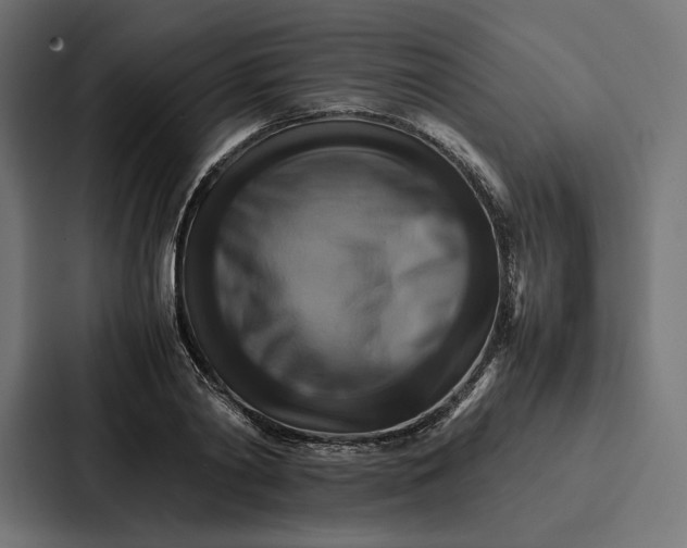 X0000086790790200705111814