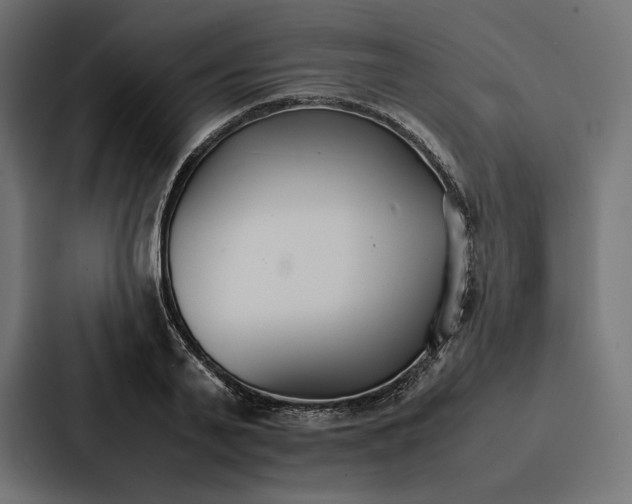 X0000086790791200705111814