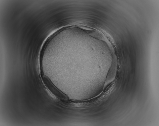 X0000086790792200705111814