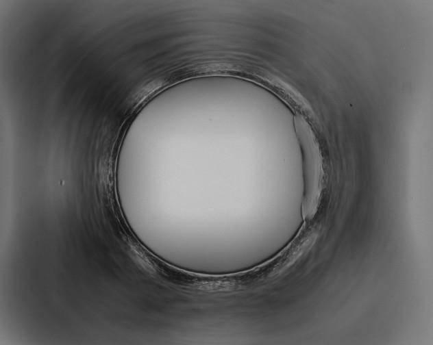 X0000086790793200705111814