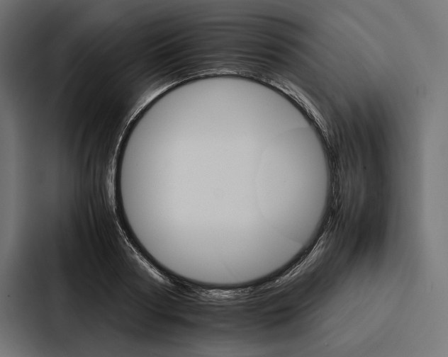 X0000086790794200705111814