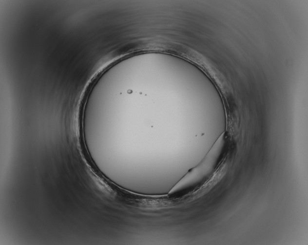 X0000086790795200705111814