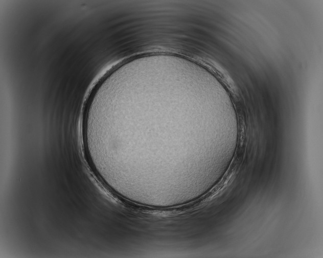 X0000086790796200705111814