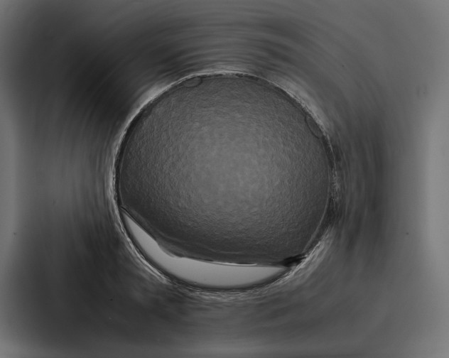 X0000086790797200705111814