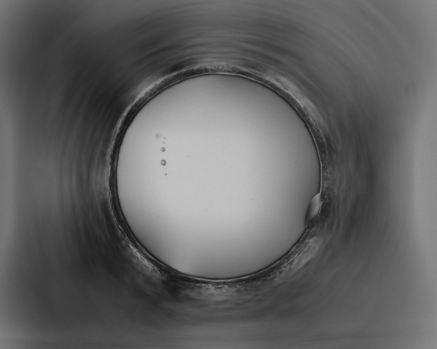 X0000086790799200705111814