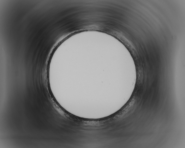 X0000086790800200705111814