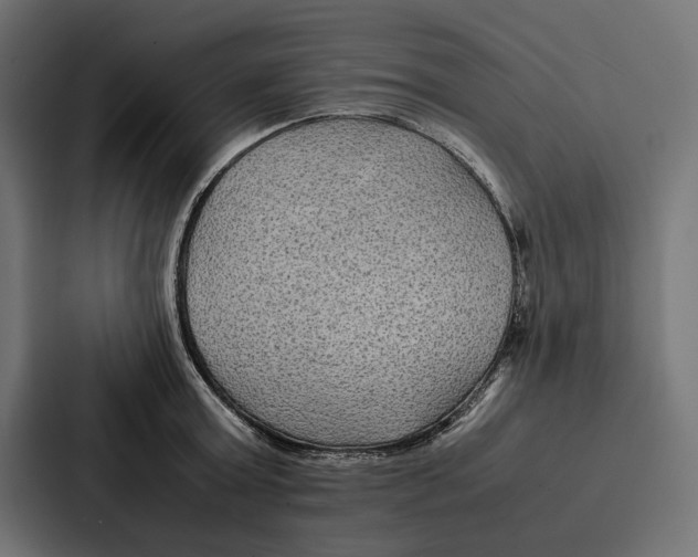 X0000086790803200705111814