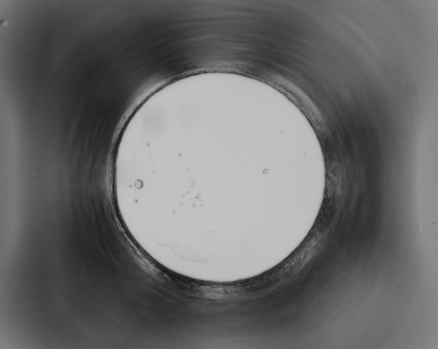 X0000086790804200705111814