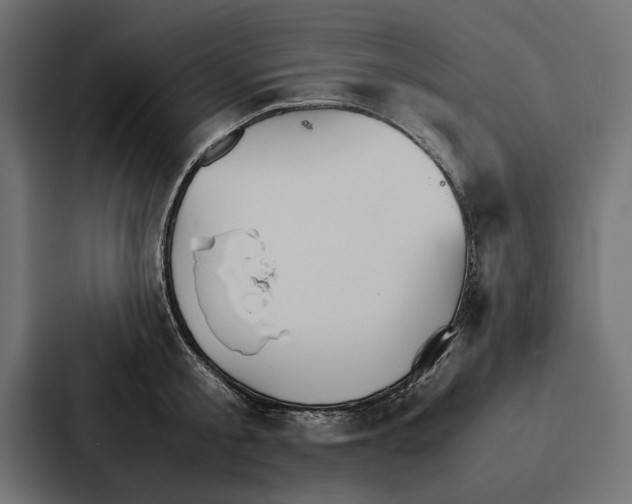 X0000086790805200705111814