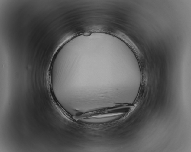 X0000086790806200705111814