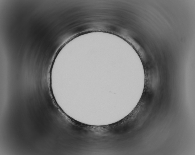 X0000086790807200705111814