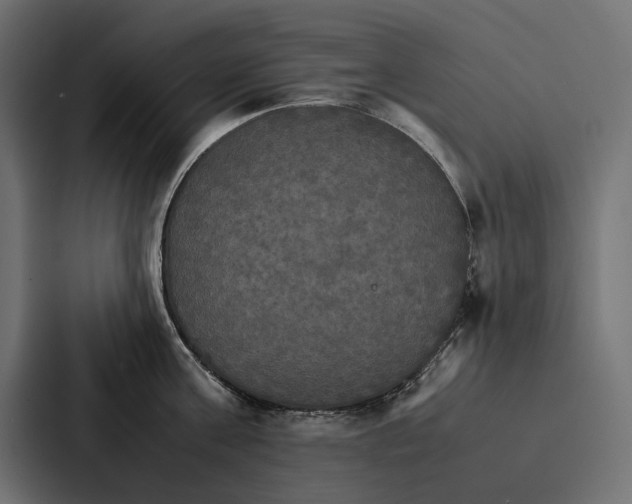 X0000086790811200705111814