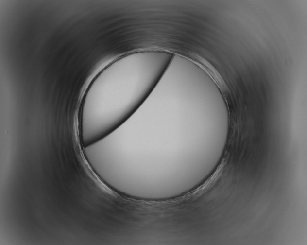 X0000086790812200705111814