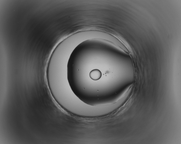 X0000086790813200705111814