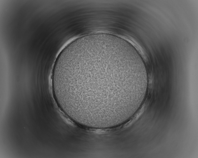 X0000086790814200705111814