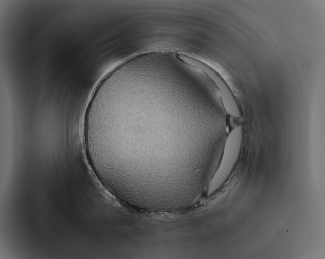 X0000086790815200705111814