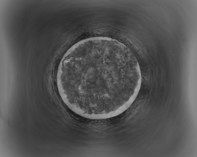 X0000086790817200705111813