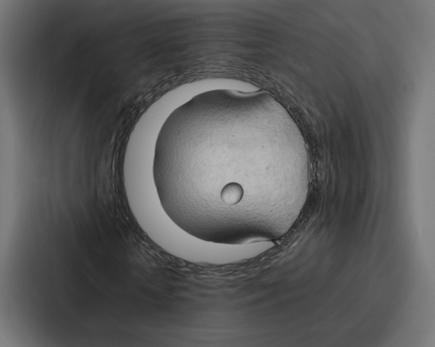 X0000086790818200705111813