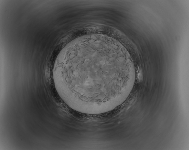 X0000086790819200705111813