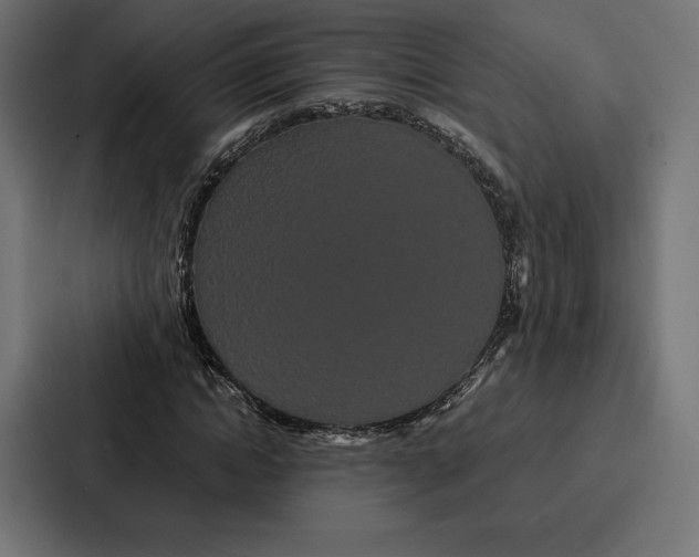 X0000086790822200705111813