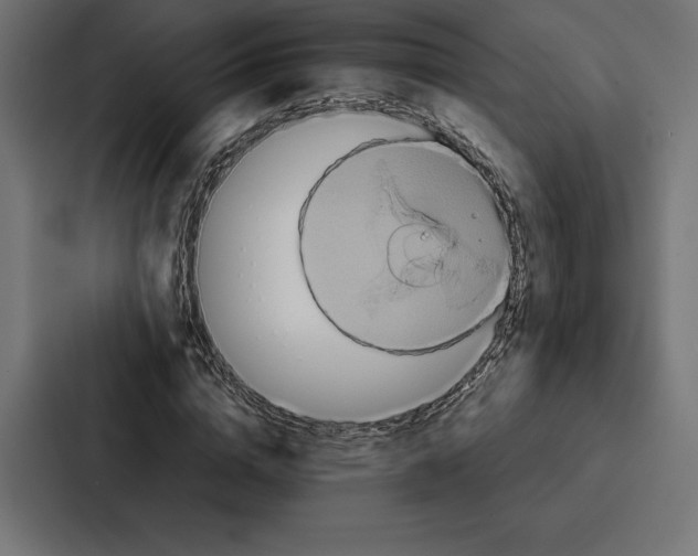 X0000086790824200705111813