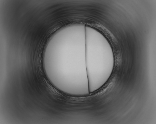 X0000086790825200705111813