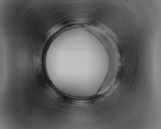 X0000086790826200705111813