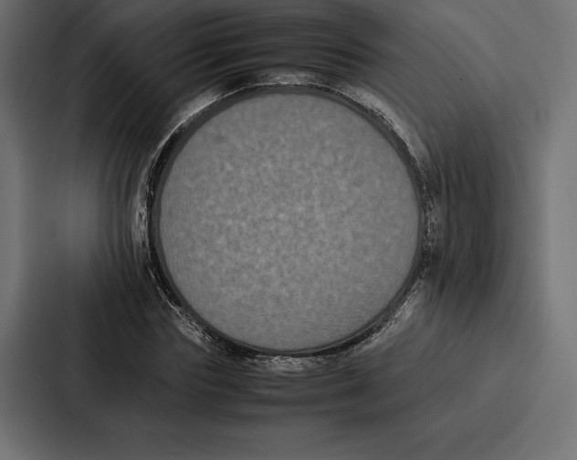 X0000086790827200705111813