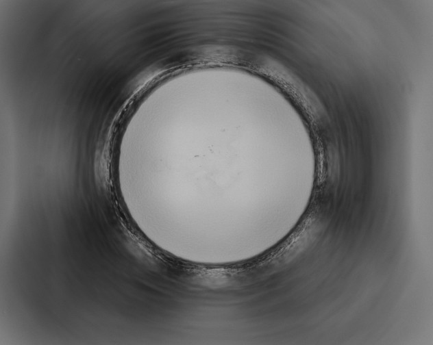 X0000086790828200705111813