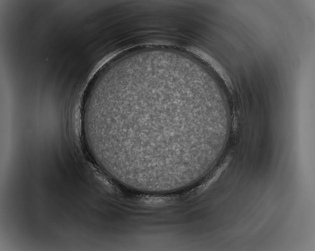 X0000086790829200705111813