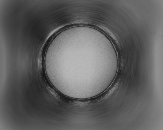 X0000086790830200705111813