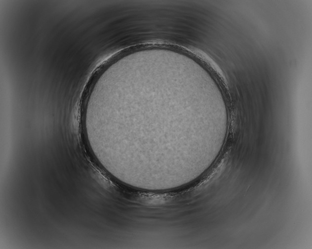 X0000086790831200705111813