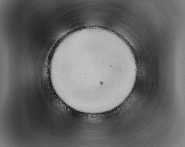 X0000086790832200705111813