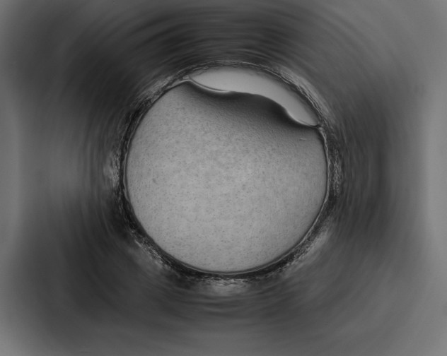 X0000086790833200705111813