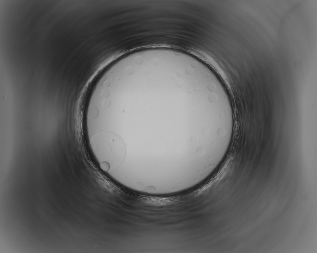 X0000086790835200705111813