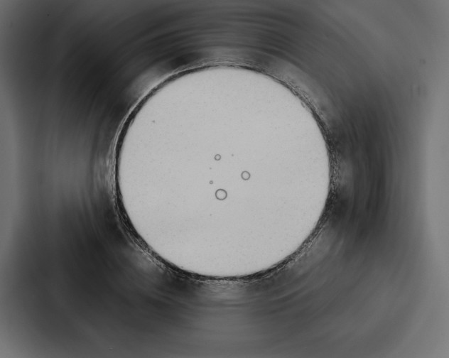 X0000086790836200705111813