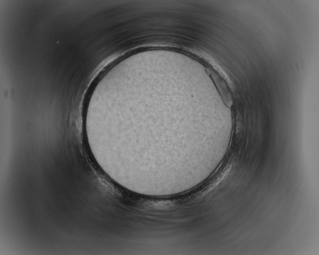 X0000086790837200705111813