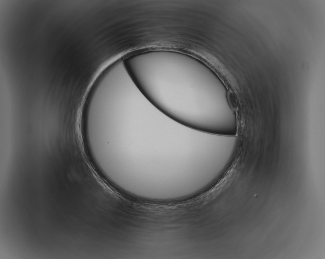 X0000086790838200705111813