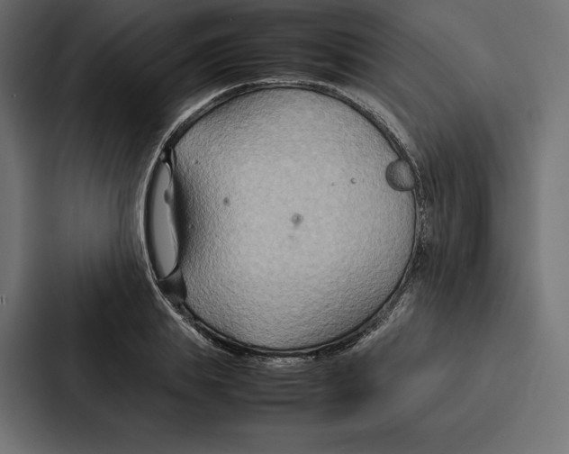 X0000086790839200705111814